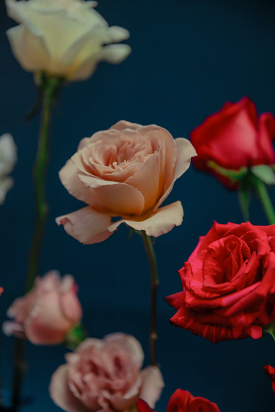 Why We Obsess Over Details: The Design Philosophy Behind Every Arrangement