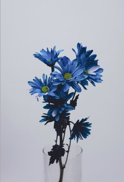 From Market to Vase: The Journey of Our Signature Blooms