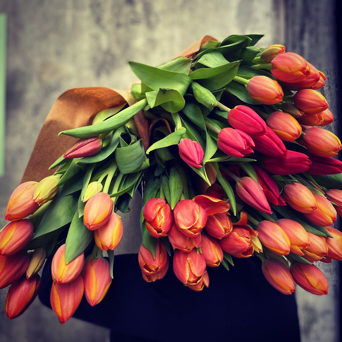Welcoming The Winter Flower Season