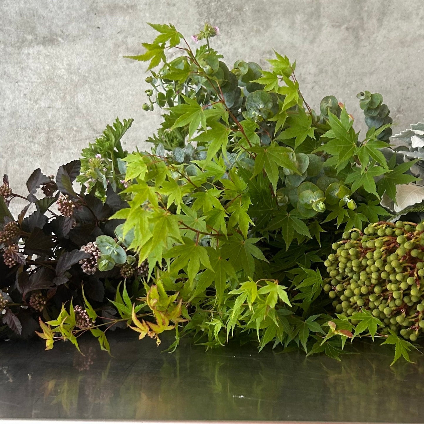 NOVEMBER - The Quiet Beauty that is Foliage