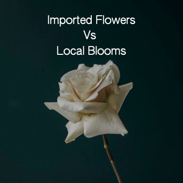Imported Flowers V Local Blooms